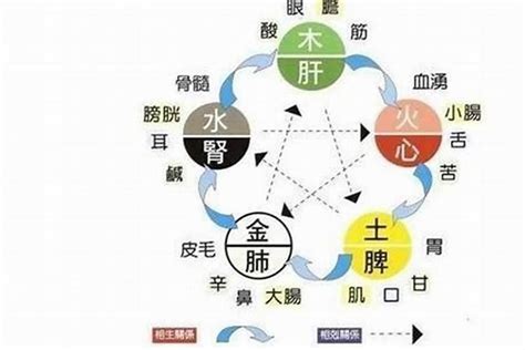 五行忌水|五行缺水会怎么样 命里缺水的人应该怎么办